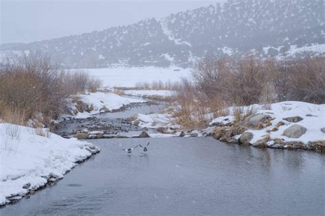 Early season storms help boost Utah’s snowpack this winter | News ...