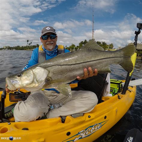 Snook and Tarpon Charter - DEEP BLUE Kayak Fishing