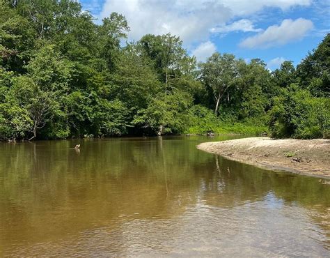 Black Creek Canoe Rental (Brooklyn) - All You Need to Know BEFORE You Go