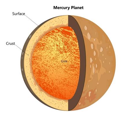 Solving the Mystery of Mercury’s Massive Iron Core