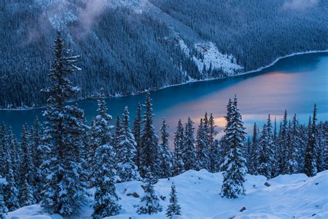 Download Snow Winter Tree Nature Lake 4k Ultra HD Wallpaper