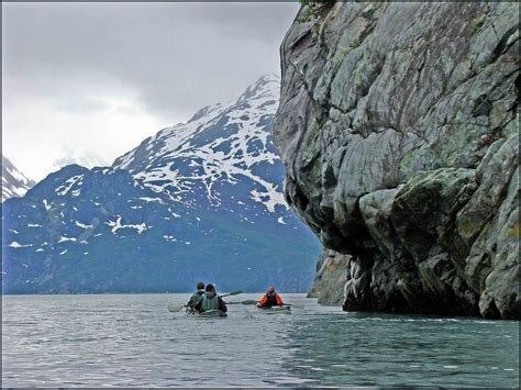 Images Cart: Kayaking Glacier Bay, Alaska