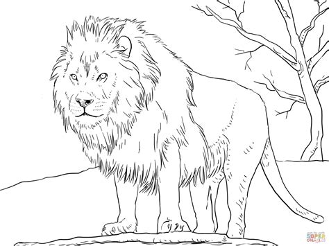 Lion Afrique Maternelle Coloriage | 30000 ++ collections de pages à ...