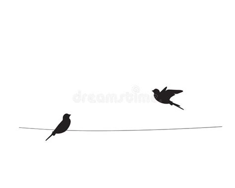 Birds Wire Vector