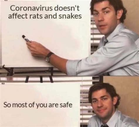 You're Safe | COVID-19 Pandemic | Know Your Meme