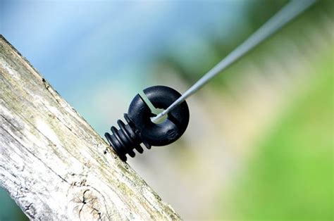 Everything You Need to Know About Electric Fence Insulators - The Fencepedia