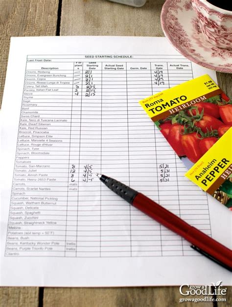 How to Make a Seed Starting Schedule in 2021 | Vegetable garden planning, Growing vegetables in ...