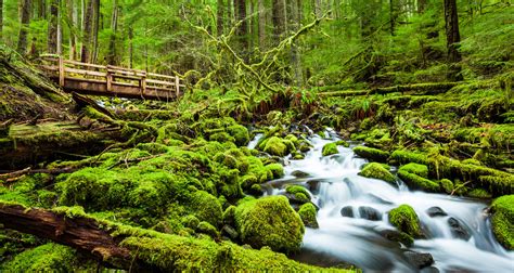 Camping in Olympic National Park, Campgrounds & Reservations - AllTrips