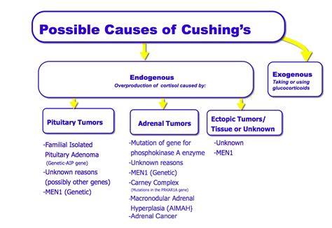 survive the journey: Cushing's Awareness Month: Causes of Cushing's