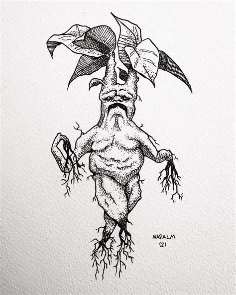 Mandrake I drew for inktober day 20 : r/harrypotter