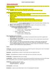 LVN Scope of Practice Essay.pdf | Course Hero