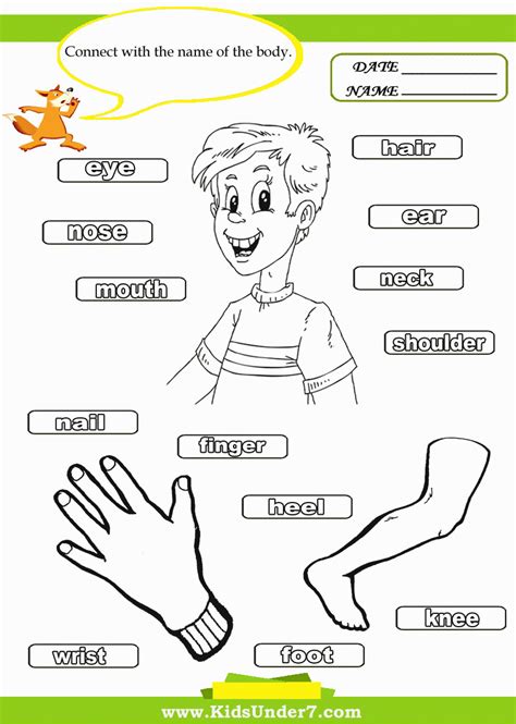 Preschool Body Parts Coloring Pages - Coloring Home