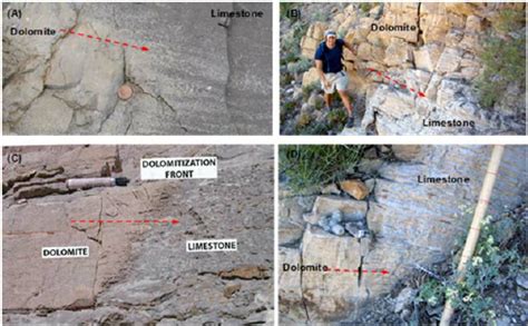 Outcrops of limestone dolomite transitions. (A) Devonian, Cripple ...