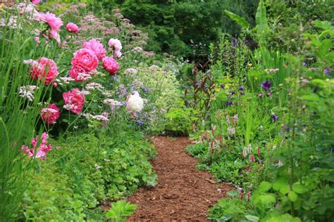 English cottage garden stock image. Image of british, path - 9792451