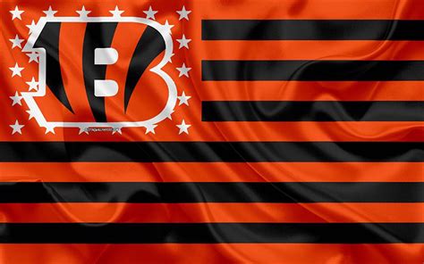 Top 999+ Cincinnati Bengals Wallpaper Full HD, 4K Free to Use