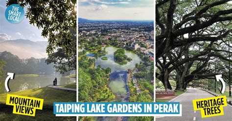 Taiping Lake Gardens: A Sprawling Park With A Heritage Raintree Walk