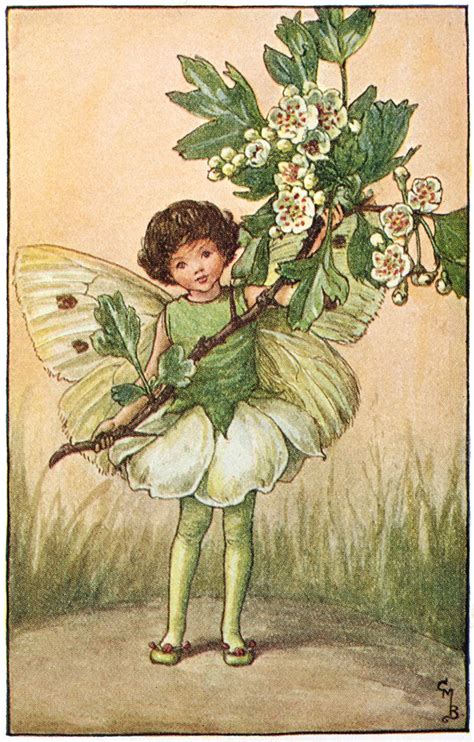 The Fairies of The Spring Archives - Flower Fairies | Flower fairies ...