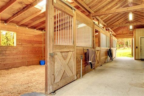 Stop “Horsing Around”: Stable Design and Ventilation Are Crucial For ...