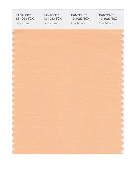 The Pantone Color of the Year 2024 Is Here | Architectural Digest