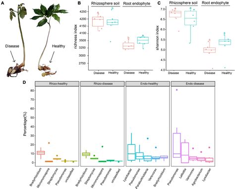 Frontiers | Structure and Function of Rhizosphere Soil and Root Endophytic Microbial Communities ...