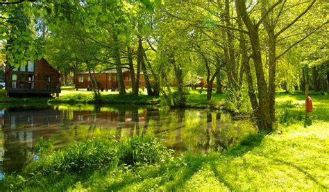 Whitemead Forest Park - Cabins and Apartments - Self-catering, Parkend - Visit Dean Wye