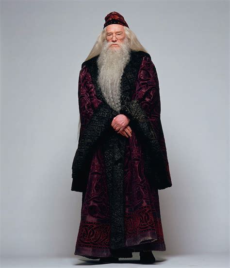 Portrait of Albus Dumbledore — Harry Potter Fan Zone