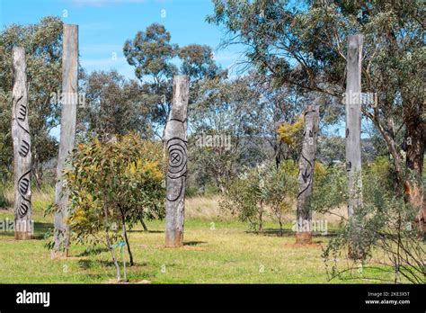 Gunnedah shire nsw hi-res stock photography and images - Alamy