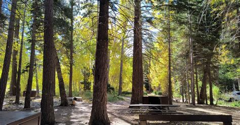 Boulder Camping | Lee Vining, CA