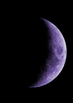 Violet Moon | Scribble Hub