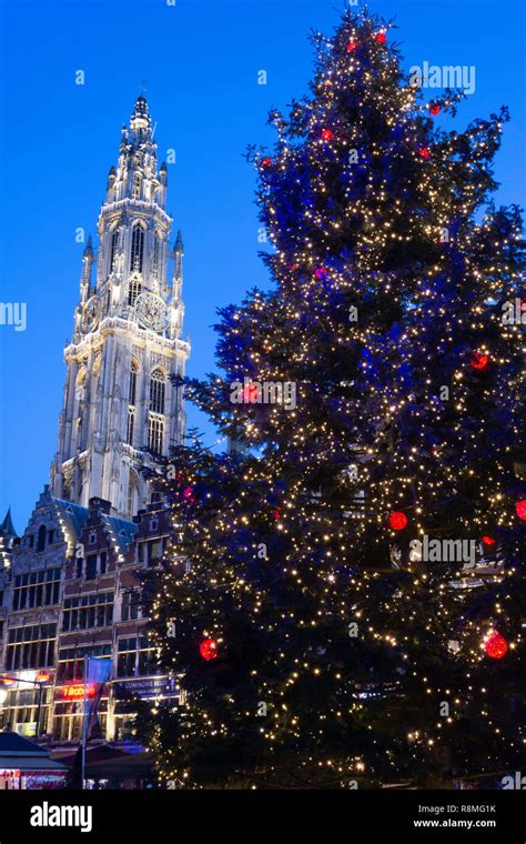 Christmas tree and Cathedral of Our Lady, Antwerp Christmas Market ...