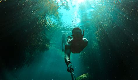 Cenote Snorkeling | Loco Gringo