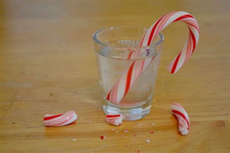 Get Buzzed for the Holiday With This Peppermint Schnapps Recipe | Recipe | Peppermint schnapps ...