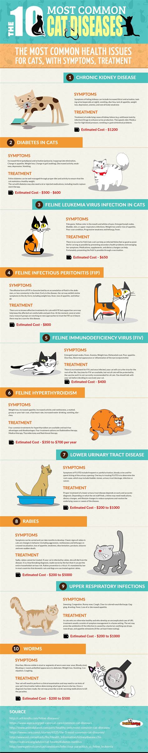 Understand the 10 most common Cat Diseases | Cat diseases, Vet medicine, Cat health