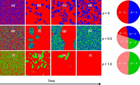 Spatial pattern formation reveals evolutionary advantages of ...