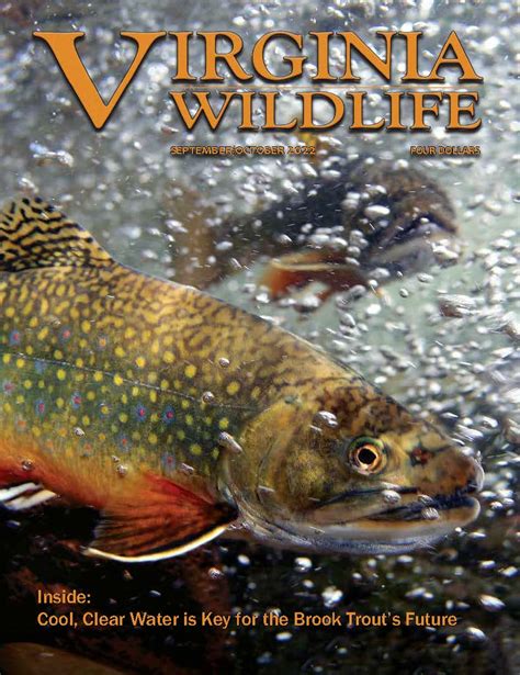 Virginia Wildlife Magazine Archive | Virginia DWR