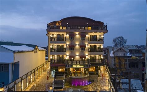 Hotel Downtown 헕헢헢헞 Srinagar Hotel