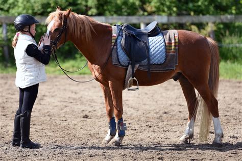 Horses Riding Gear for Kids | Farm House Tack