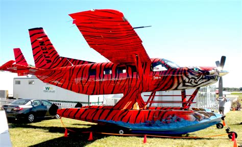 Awesome paint job! | Cool Airplane Paint Schemes | Pinterest | Aviation and Aircraft