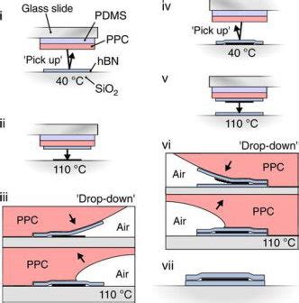 4 -transfer technique using PDMS stamps [99]. | Download Scientific Diagram