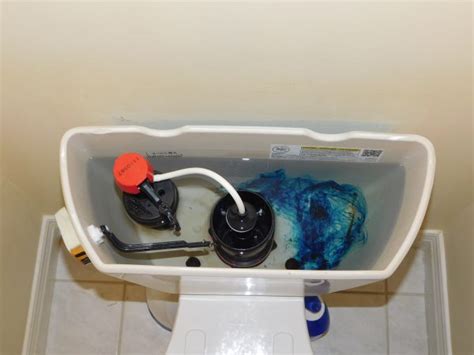 Toilet Fix Leaking Cistern - dismantle the toilet