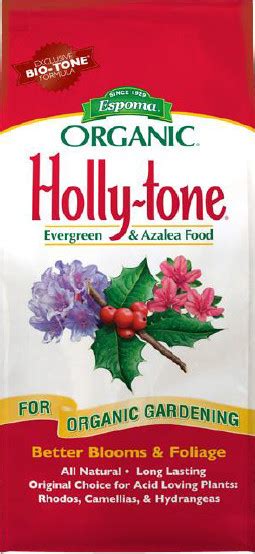 Prune Holly bushes and fertilize with Holly-tone - Perennially Yours