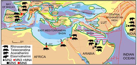 Miocene Map