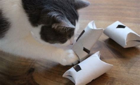 DIY Feline Toilet Paper Roll Puzzle Feeder in 2022 | Diy cat toys, Cat puzzle feeder, Cat feeder diy