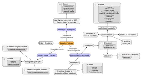 ASK DIS: Causes of Jaundice