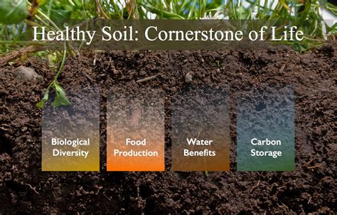 Save Soil to Save Life on Earth!! | GreenStories