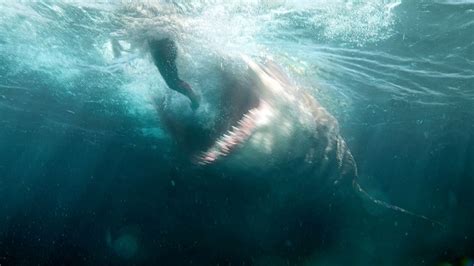 ‘The Meg’ Box Office: Shark Pic Shows Sharp Teeth, Swims Toward $40M ...