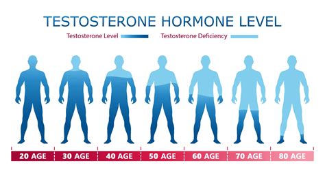 What Age Does Men's Testosterone Drop Store | centralcountiesservices.org