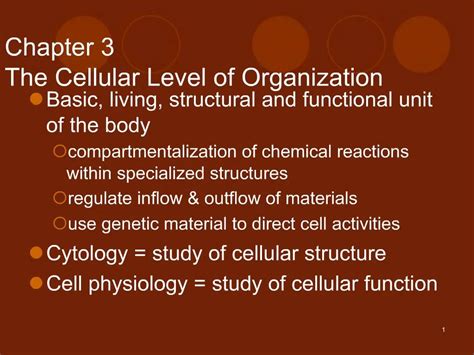 PPT - Chapter 3 The Cellular Level of Organization PowerPoint Presentation - ID:825434