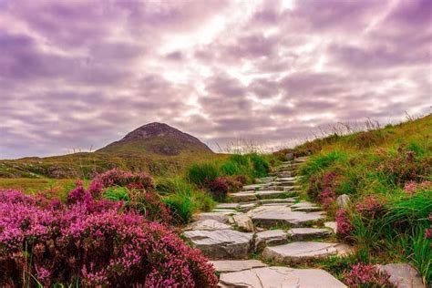 5 Beautiful Road Trips Around Ireland | Etramping