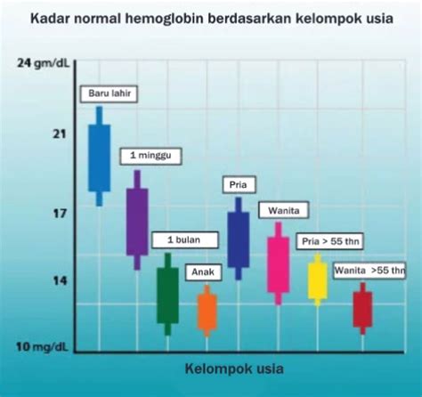 Penyebab Kadar Hemoglobin Rendah atau Tinggi | Medkes